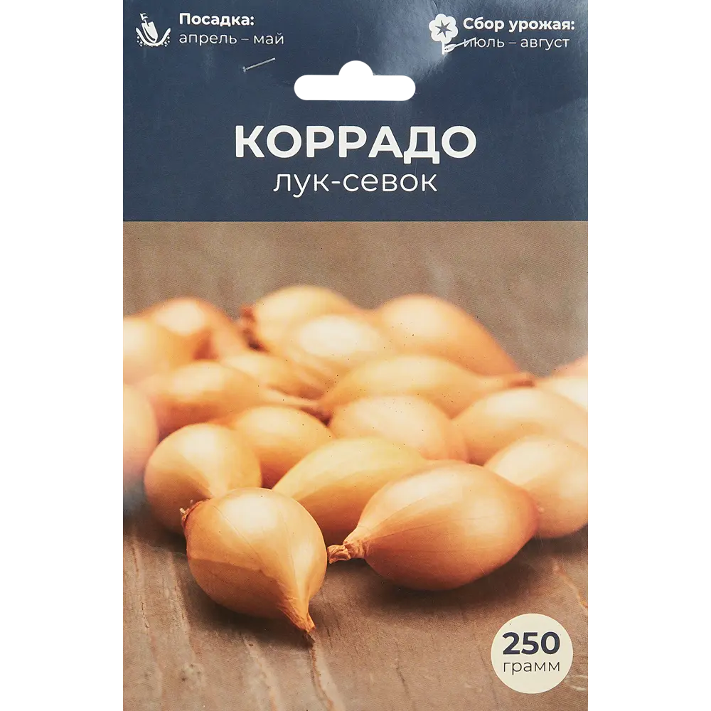 Лук-севок Коррадо луковицы 14/21 Santreyd STLM-2182430