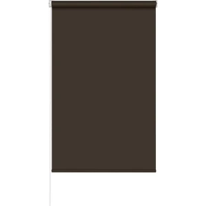 Рулонная штора GARDEN Stars Light 50×160 см коричневая 89409311