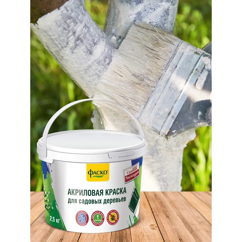 Краска для дерева Фаско 2.5 кг Santreyd STLM-2072264 - Вид №1