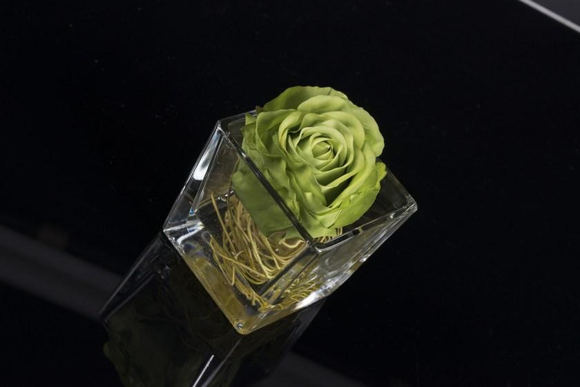 VGnewtrend Искусственное растение  1141712.60  - Вид №1