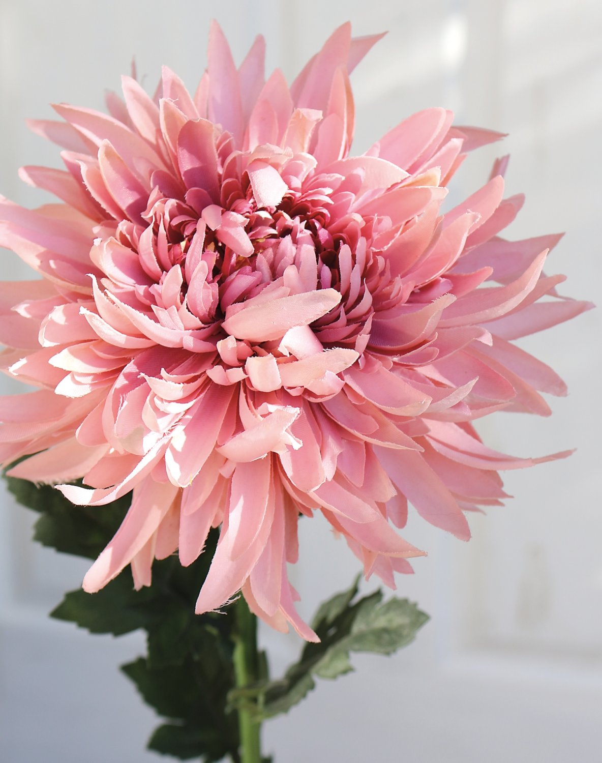 3411 597 a3 Хризантема пластиковая, 62 см, антично-розовая H-andreas 