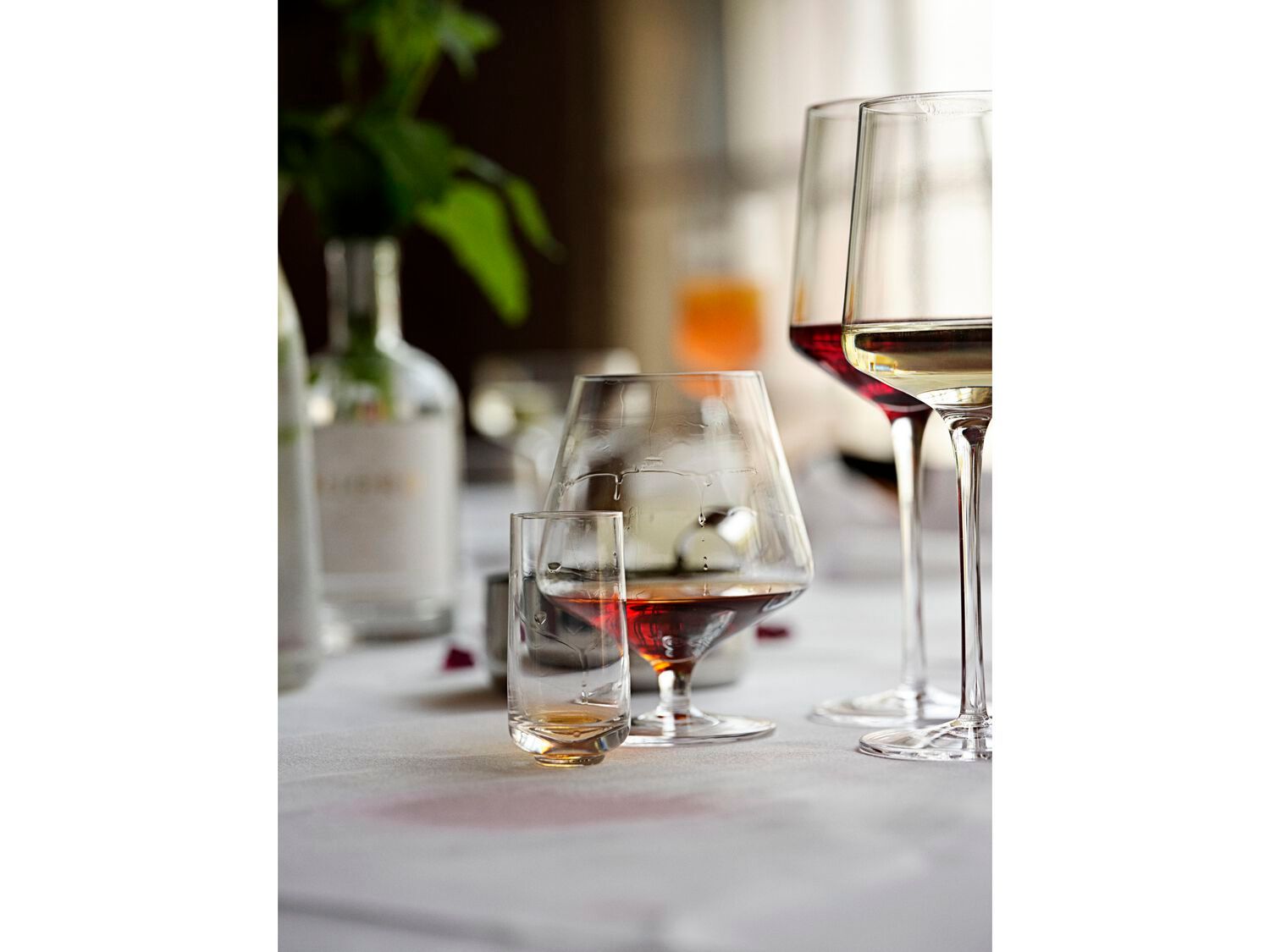 Набор стаканов для ликера из дутого стекла ZONE DENMARK Rocks ARCH-00026235 - Вид №2