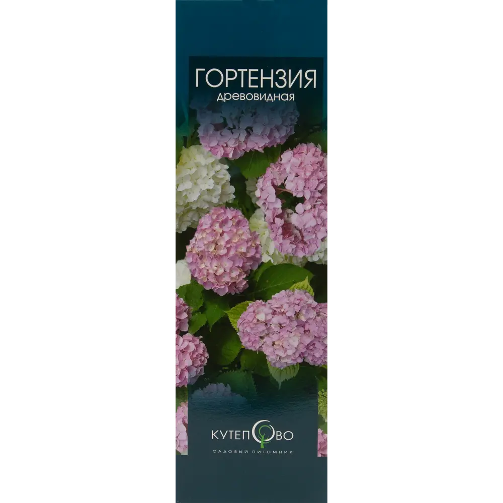 Гортензия древовидная 9x30 см 83539223 STLM-2159735 Santreyd 