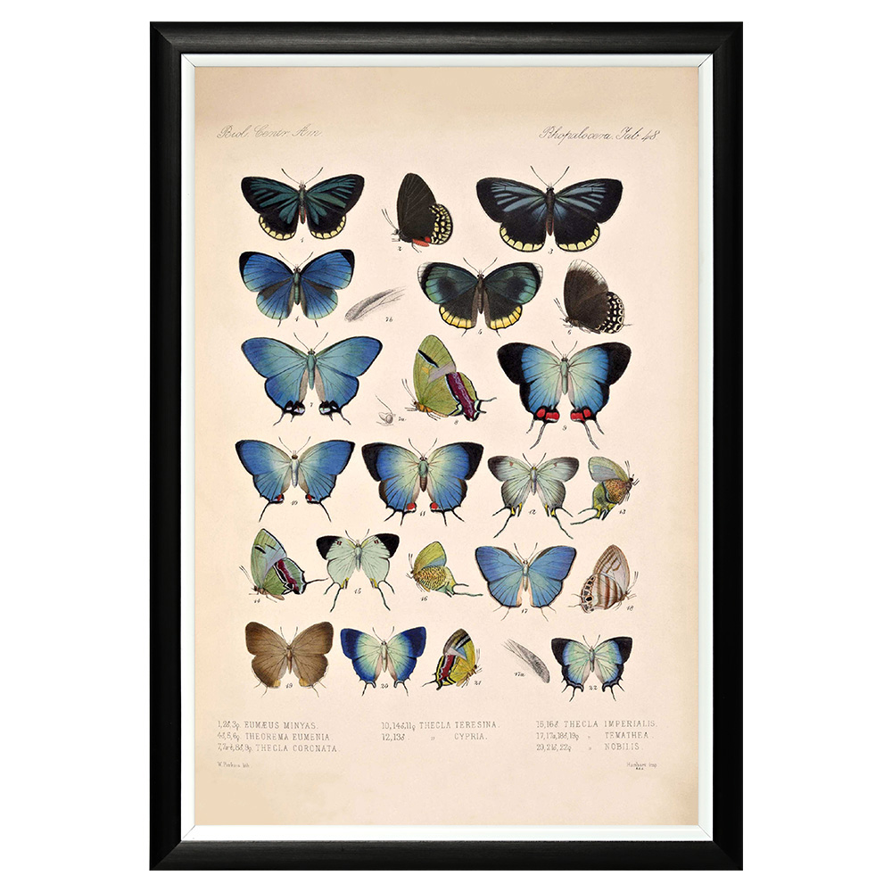 782752285_1818 Арт-постер «Тропический рай», версия 48 Object Desire 