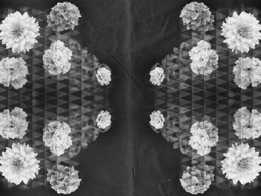 Architects Paper Обои с цифровой печатью и цветочными мотивами Ap digital iv sun-id-1382992 - Вид №1