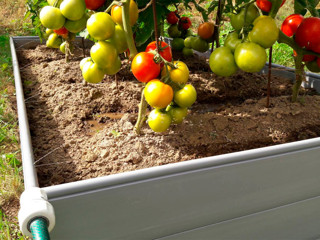 Грядка ПВХ 2х1 м. высота 23,5 см с автополивом ГеоПластБорд GPBST-157 - Вид №6