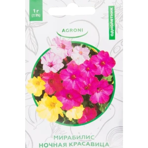 Мирабилис «Ночная красавица» XS