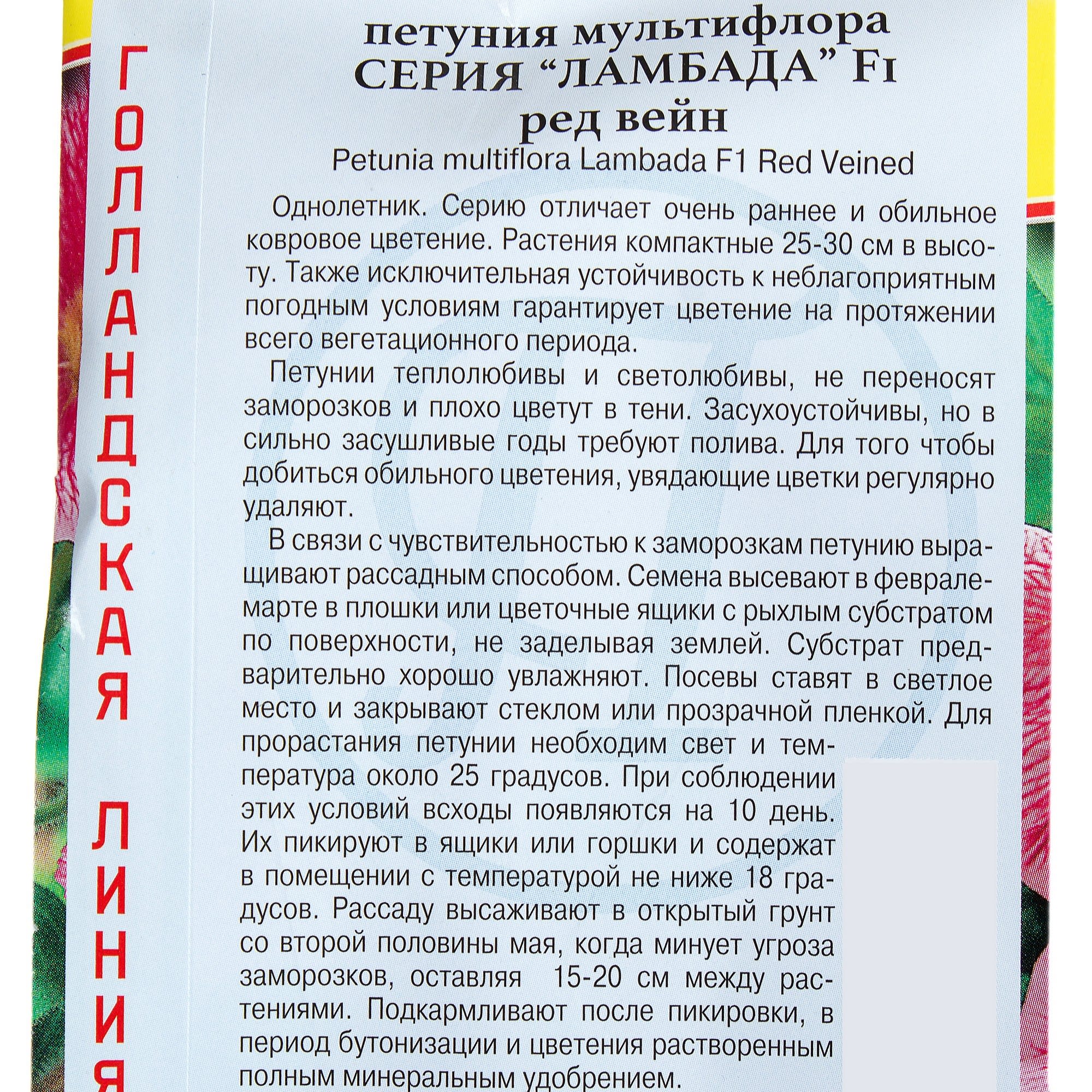 17301467 Петуния мультифлора «Ламбада Ред Вейн F1» Santreyd  - Вид №2