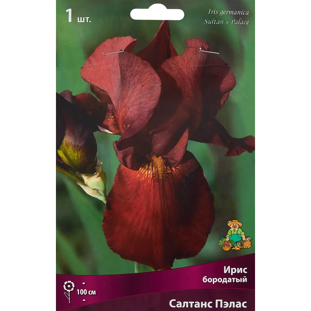Ирис бородатый Салтанс Пэлас 85186003 STLM-2208838 ПОИСК 