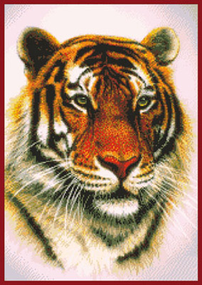 160х228кл Схема для вышивания цв. А3 ДК-320 "Тигр" Santreyd 