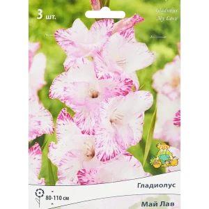 Гладиолус крупноцветковый Май Лав, 3 шт