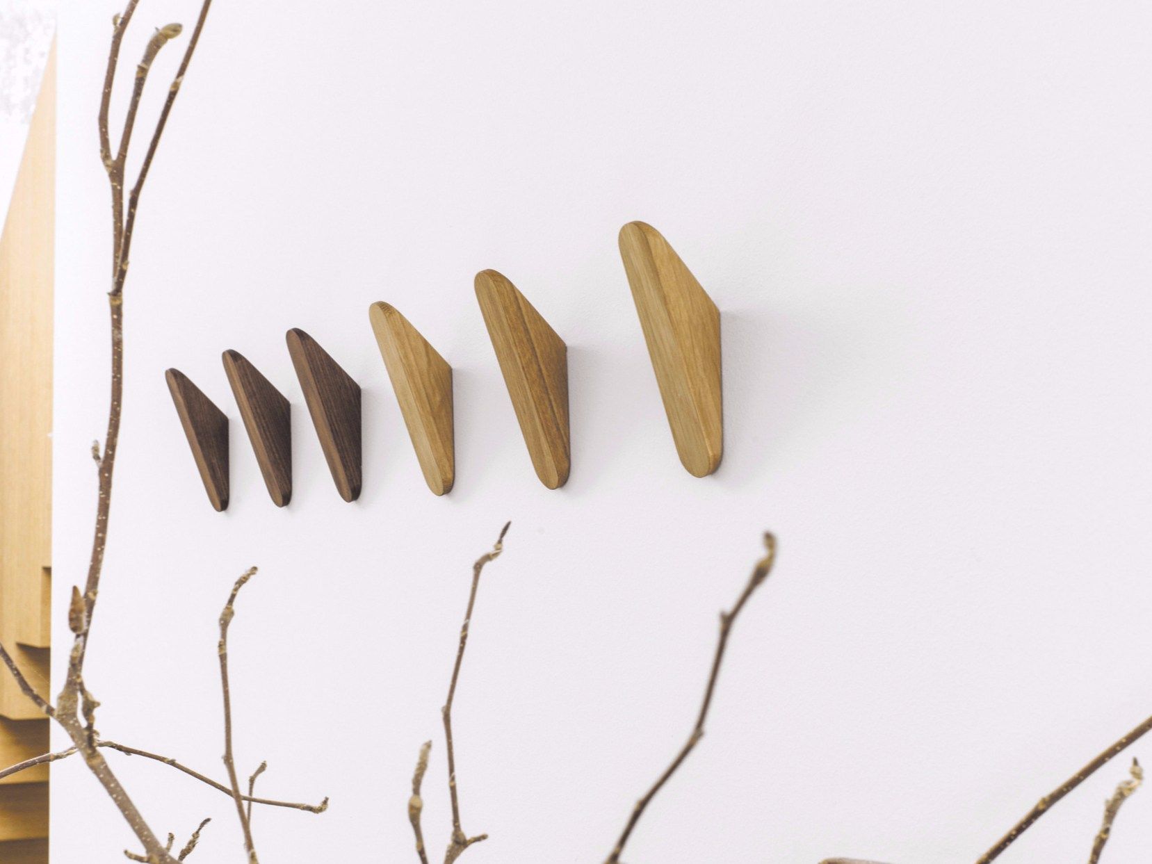 Настенная вешалка из массива дерева Schonbuch ARCH-00022791