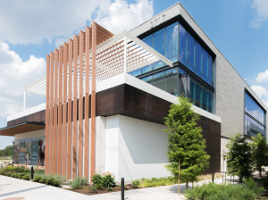 Композитные деревянные Frangisole