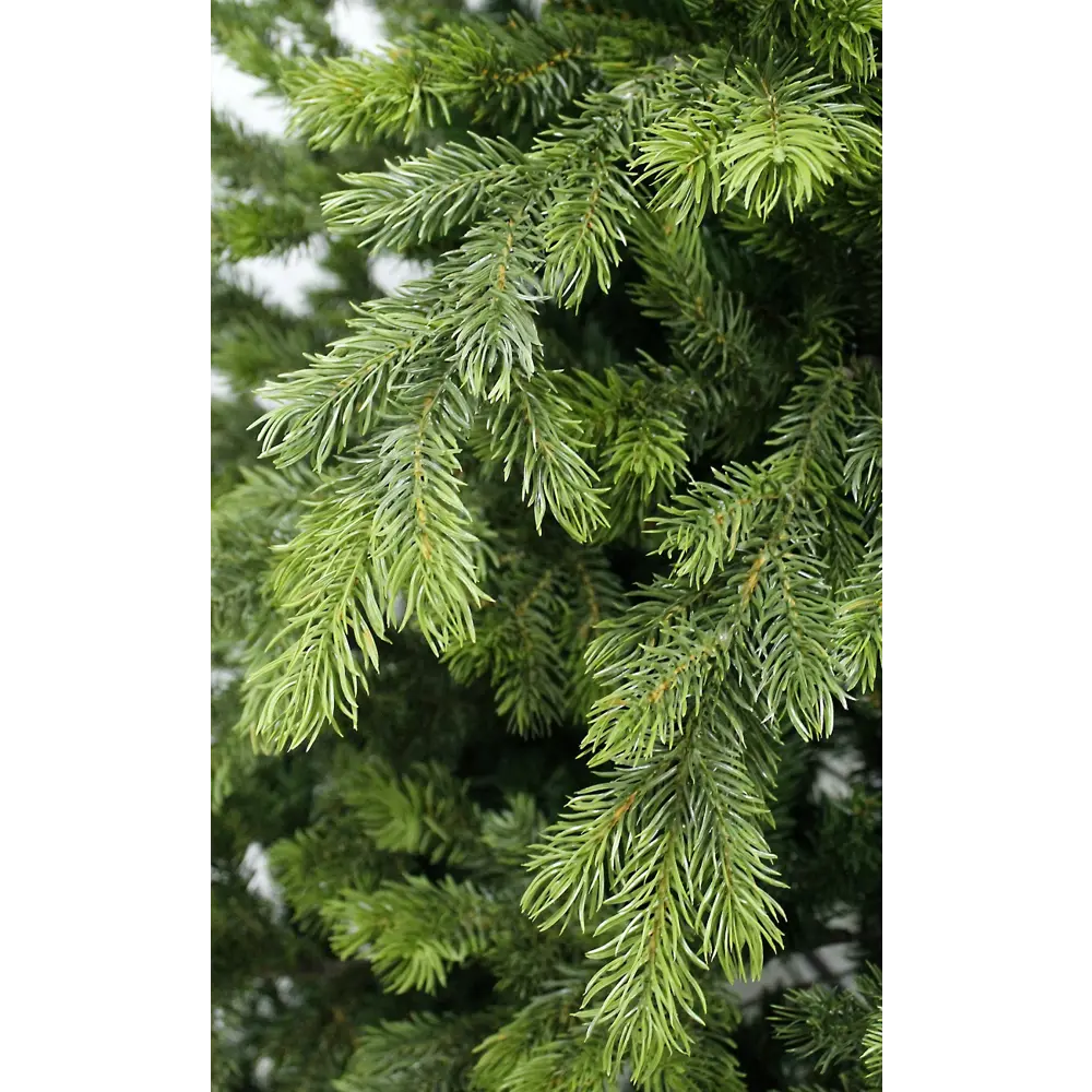 Ель новогодняя искусственная Emerald 210 см BEATREES STLM-2104028 - Вид №1