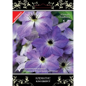 Клематис крупноцветковый Люкс Клаудберст h15 см 83431385 STLM-2206044
