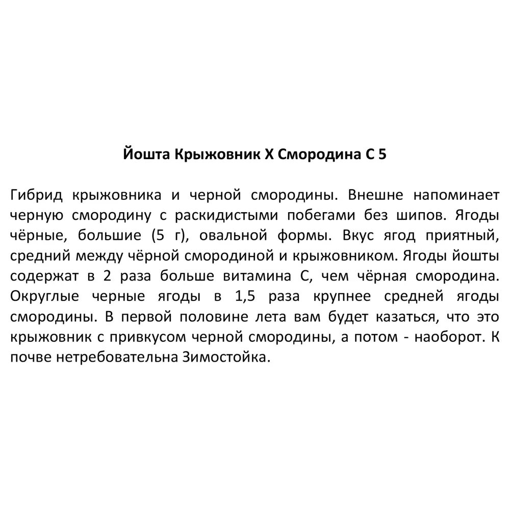 Йошта микс ø21.5 h50 см 85325505 STLM-2208633 Santreyd  - Вид №2