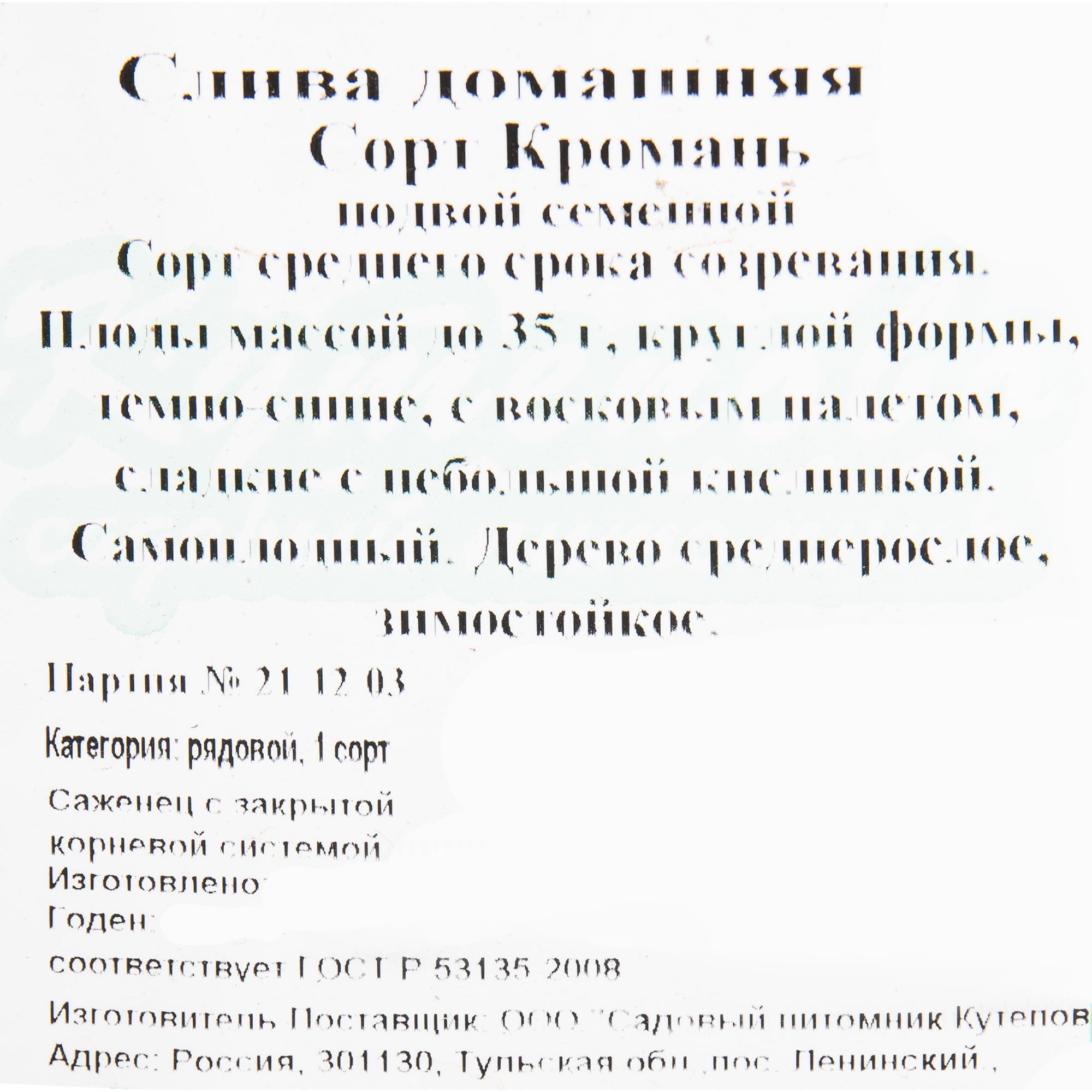 82597135 Слива «Кромань» C4 высота 140 см Santreyd  - Вид №1