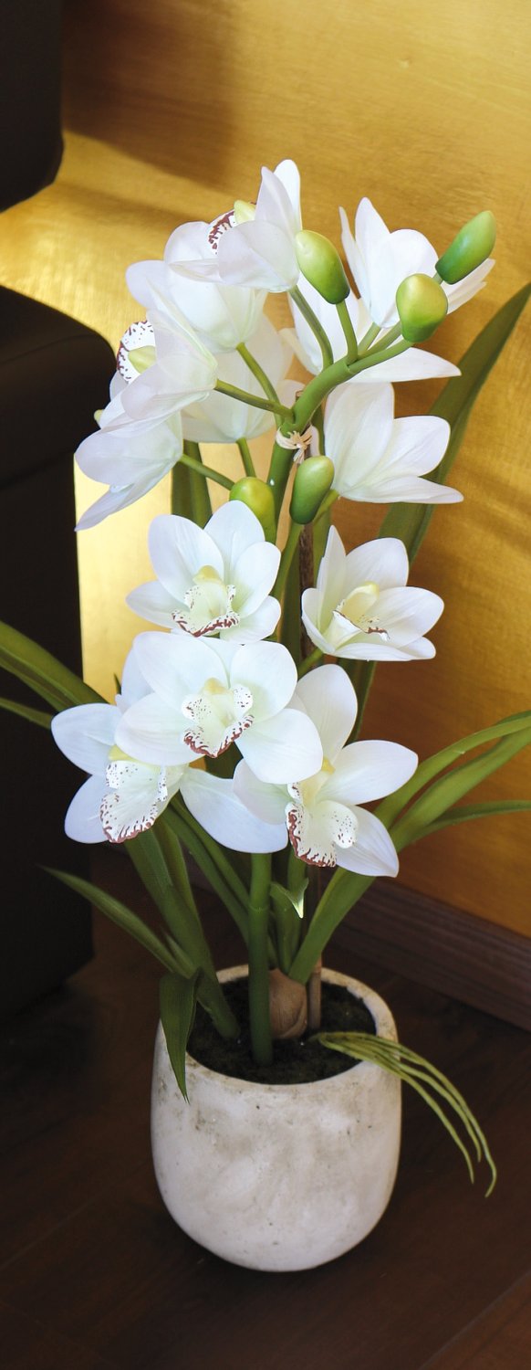 2532 778 a3 Пластиковая орхидея цимбидиум, горшок, 71 см, горшок, real touch soft, бежево-белый H-andreas  - Вид №5