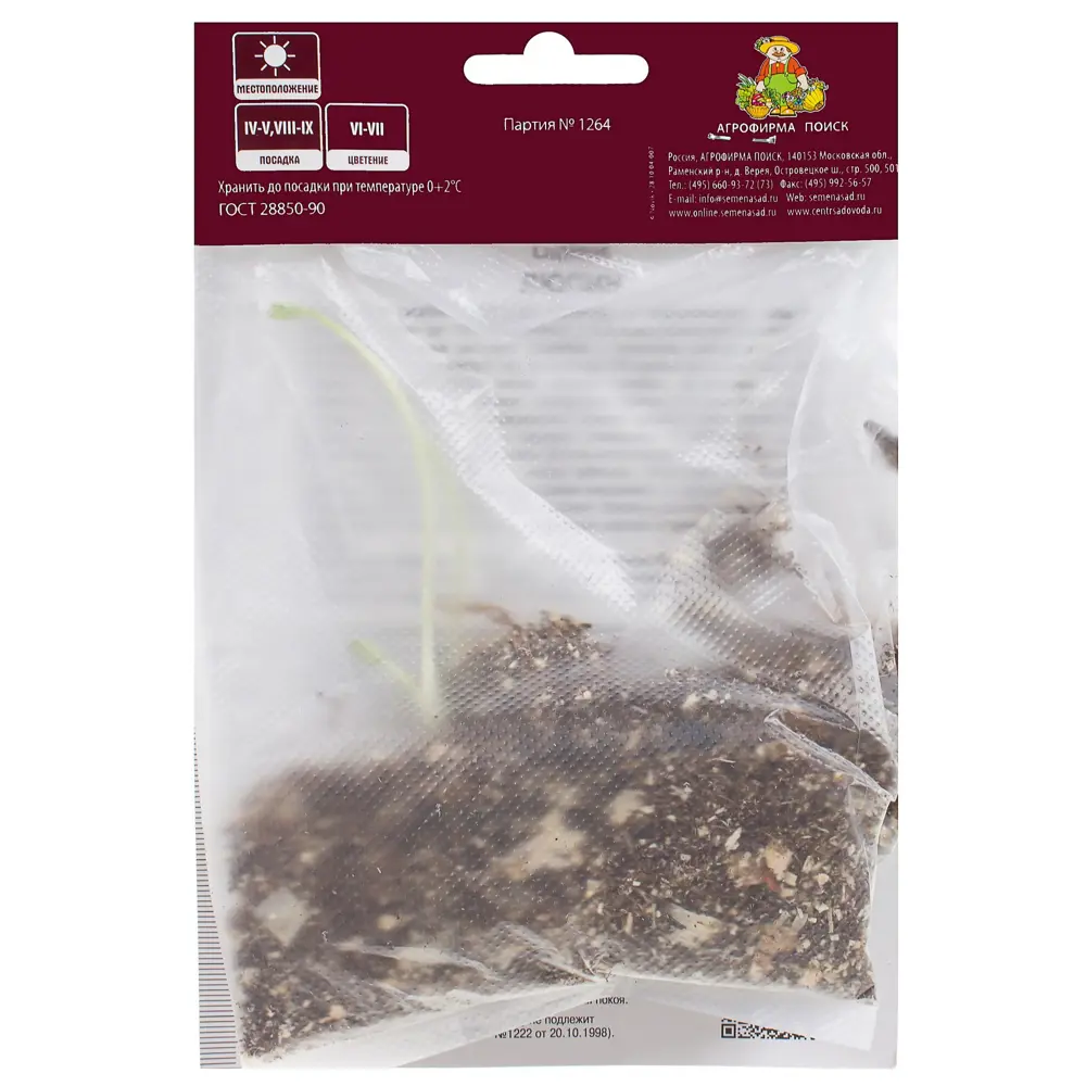 Люпин «Зе Пейджиз» многолетний Santreyd STLM-2011831 - Вид №1