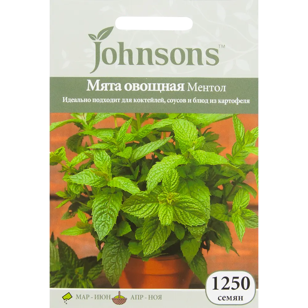 Семена Мята овощная «Ментол» 1250 шт. 82450145 STLM-2054797 JOHNSONS 