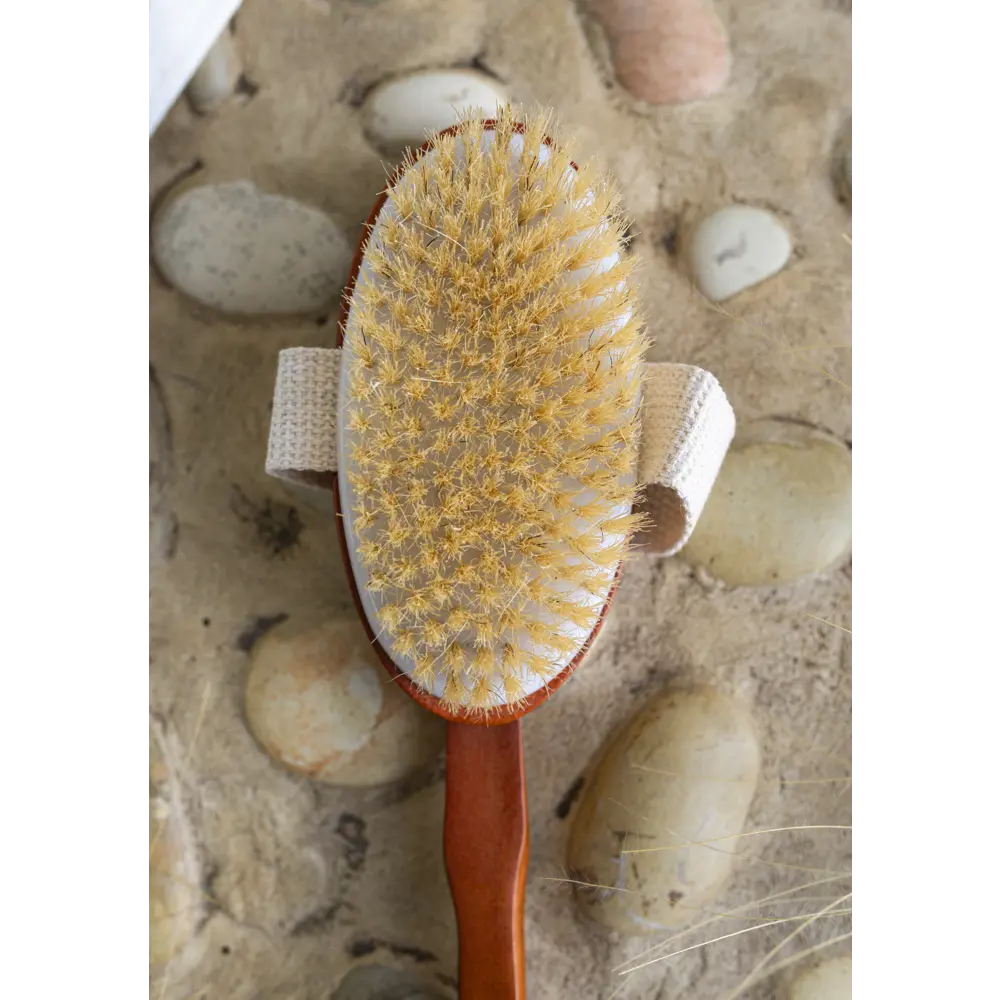 Щётка для тела натуральная щетина PROFFI SAUNA STLM-2073880 - Вид №6