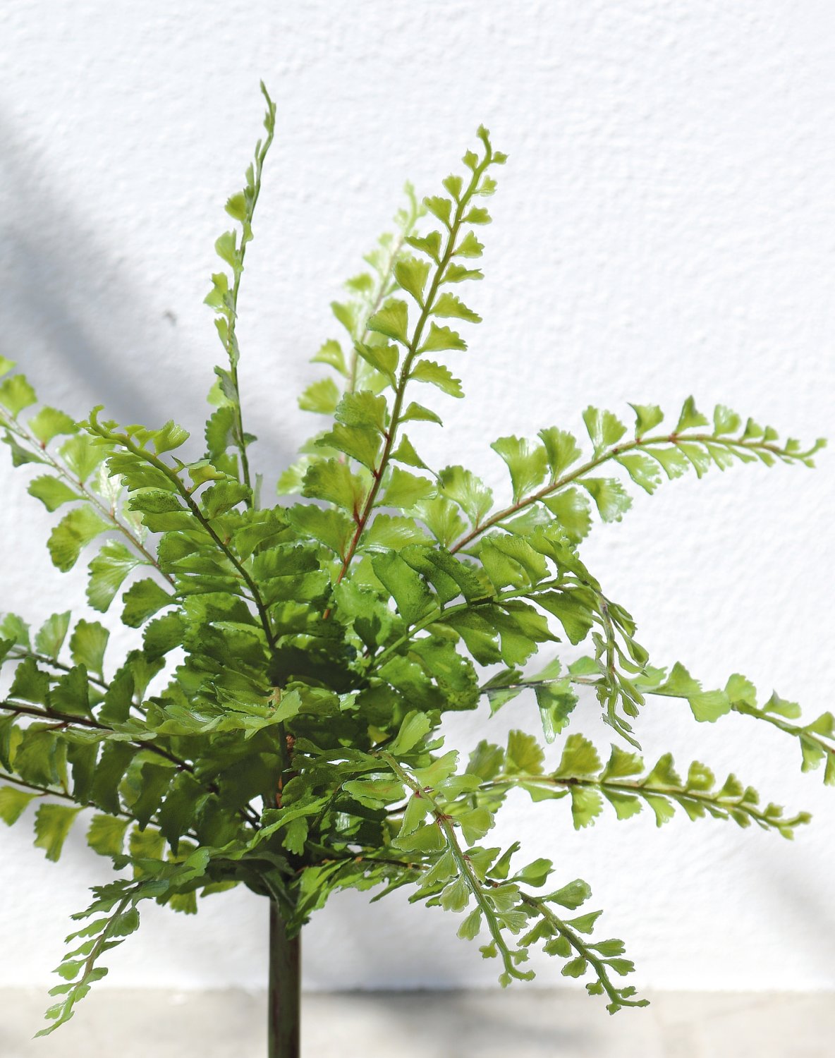 4904 883 a3 Имитация куста папоротника, 36 см, зелёная H-andreas  - Вид №1