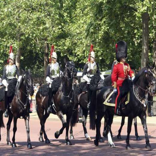 WP02436 Фотообои Verol Фотообои decoline 1х1 м