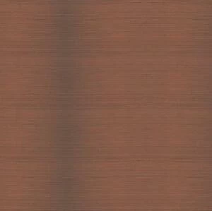 Террасная доска TerraPol Заборная доска 843 Абрикос (Рельефная) 2400х58 мм.