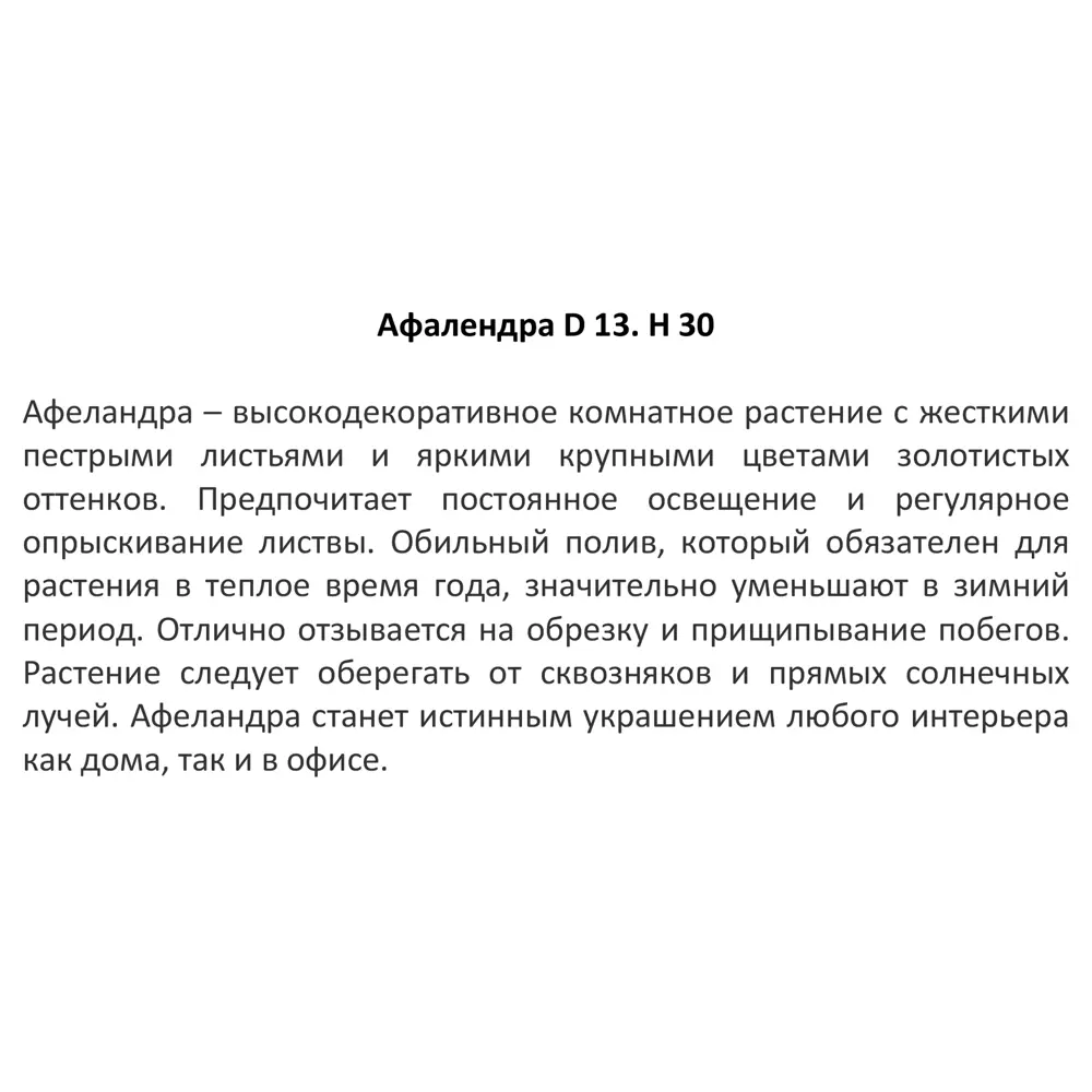 Афеландра 13x30 см 11944488 STLM-2144420 Santreyd  - Вид №2