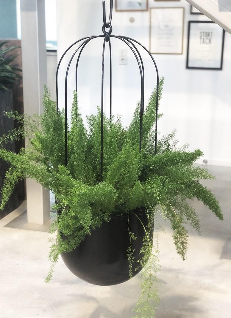 Nola Industrier Круглый подвесной горшок для цветов  Ö16-43  - Вид №1