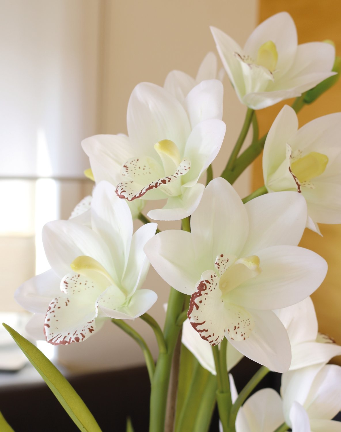 2532 778 a3 Пластиковая орхидея цимбидиум, горшок, 71 см, горшок, real touch soft, бежево-белый H-andreas  - Вид №6