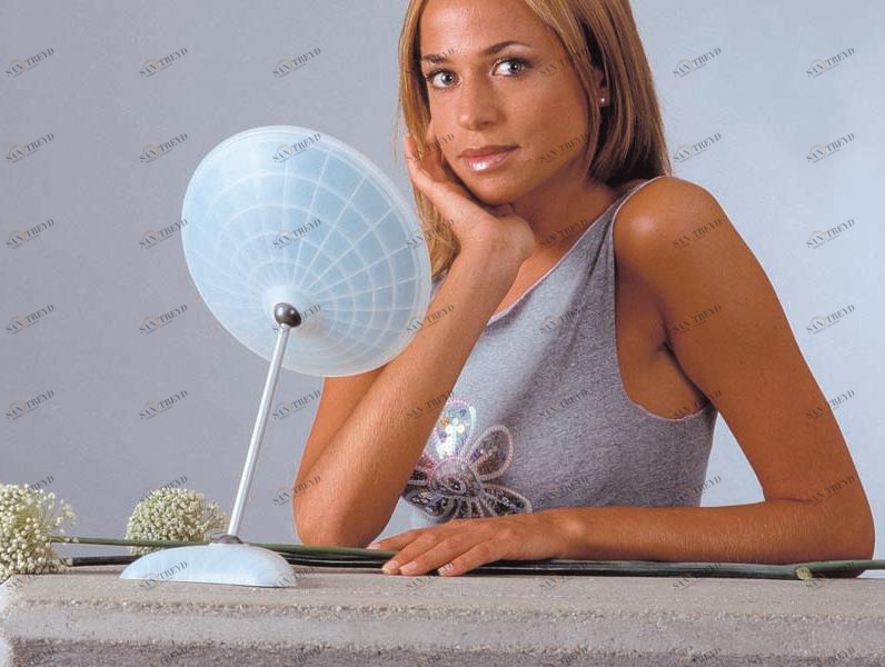 Provex Industrie Напольное увеличительное зеркало sun-id-1429330