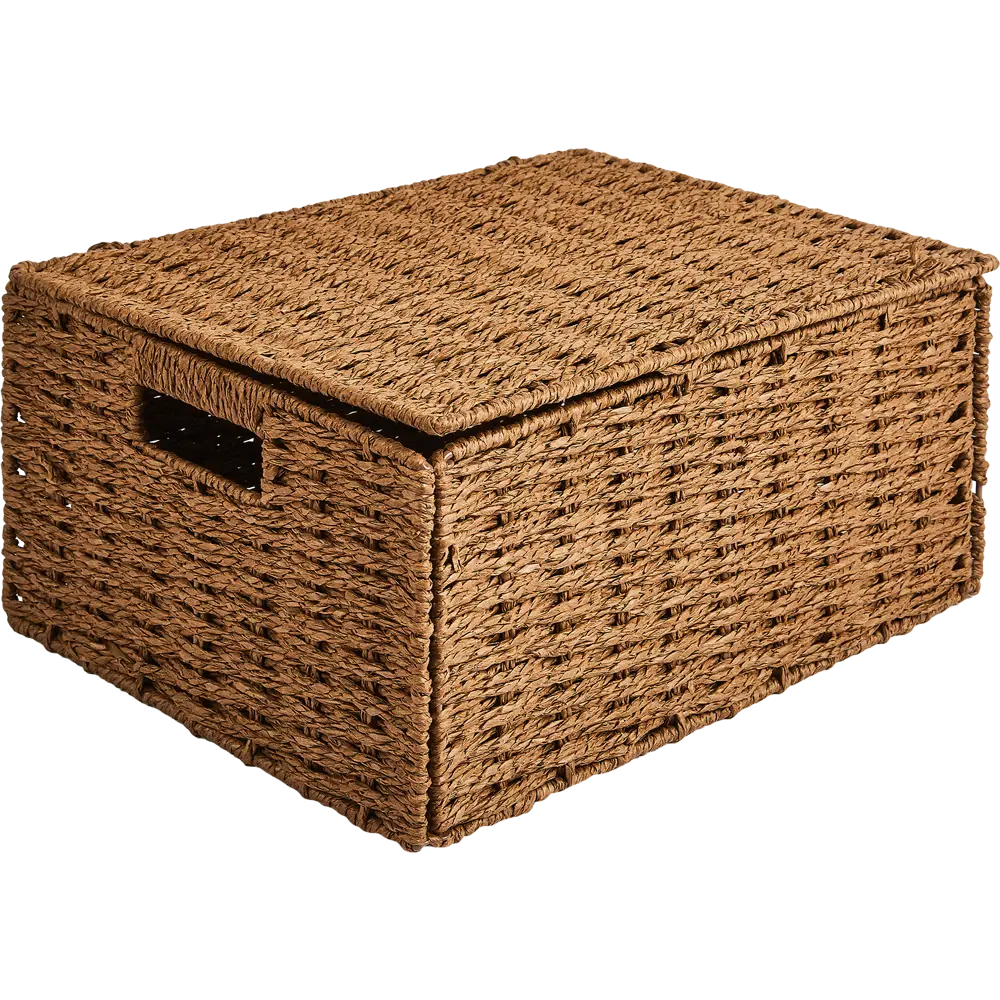 Корзина с крышкой для хранения 38x18x28 см бумага цвет коричневый SPACEO Kub STLM-2209458 - Вид №1