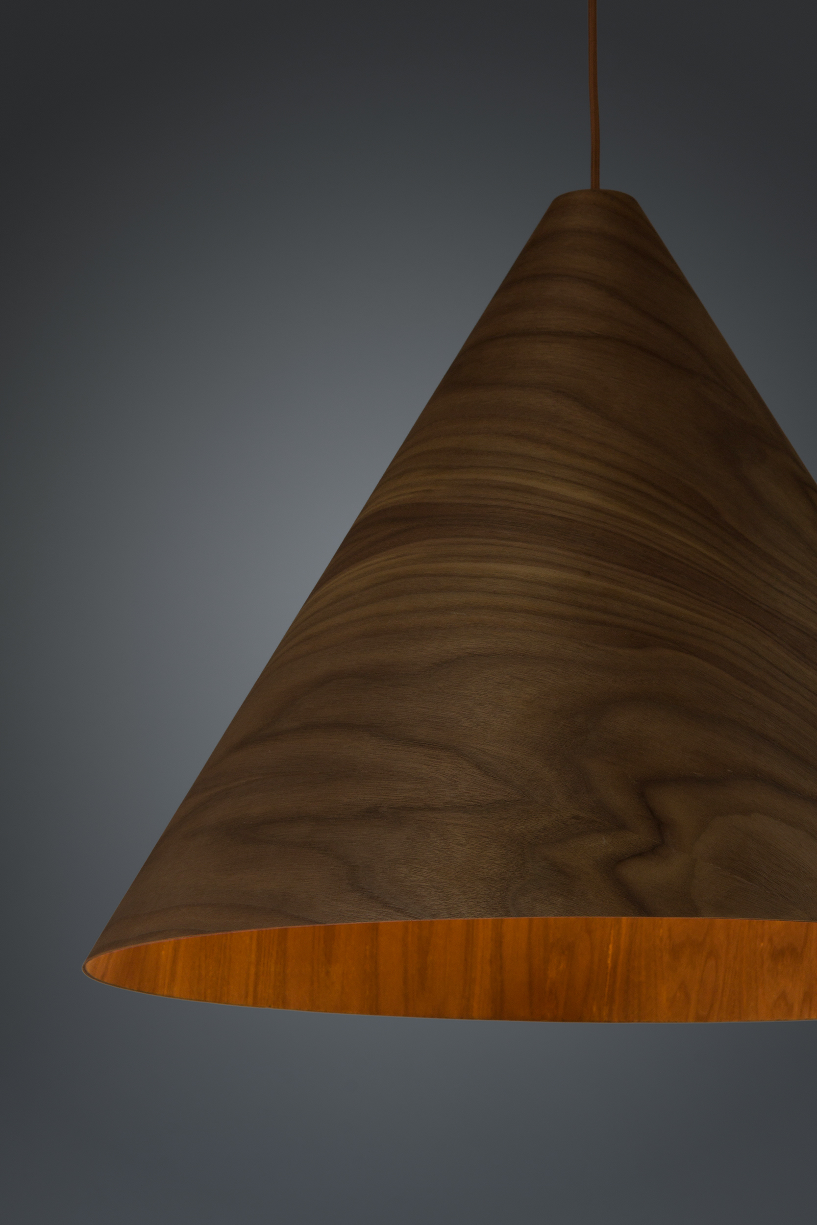 2000983199775 Подвесной светильник диаметр 61 ELECTRORETRO Forest - Вид №2