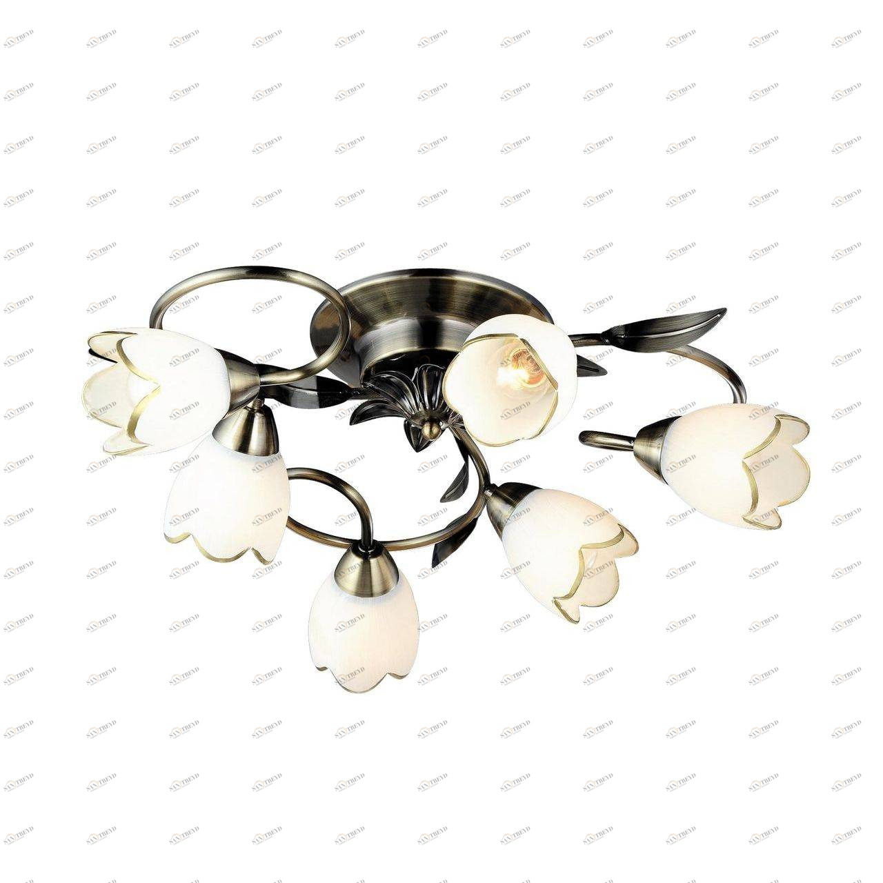 Потолочная люстра Arte Lamp 4 A6061PL-6AB ARTE LAMP ДИЗАЙНЕРСКИЕ 058492 Белый 