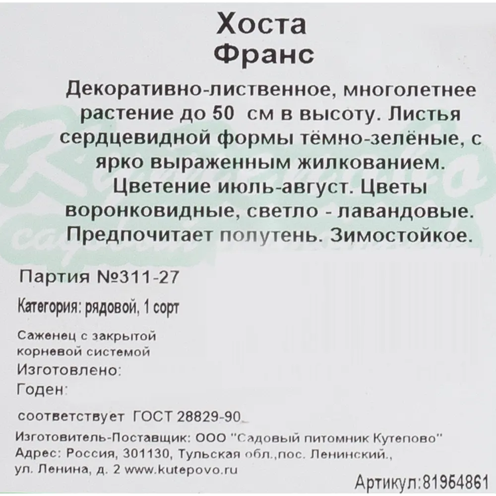 Хоста гибридная С2 «Франс» h15 81954861 STLM-2071114 Santreyd  - Вид №1