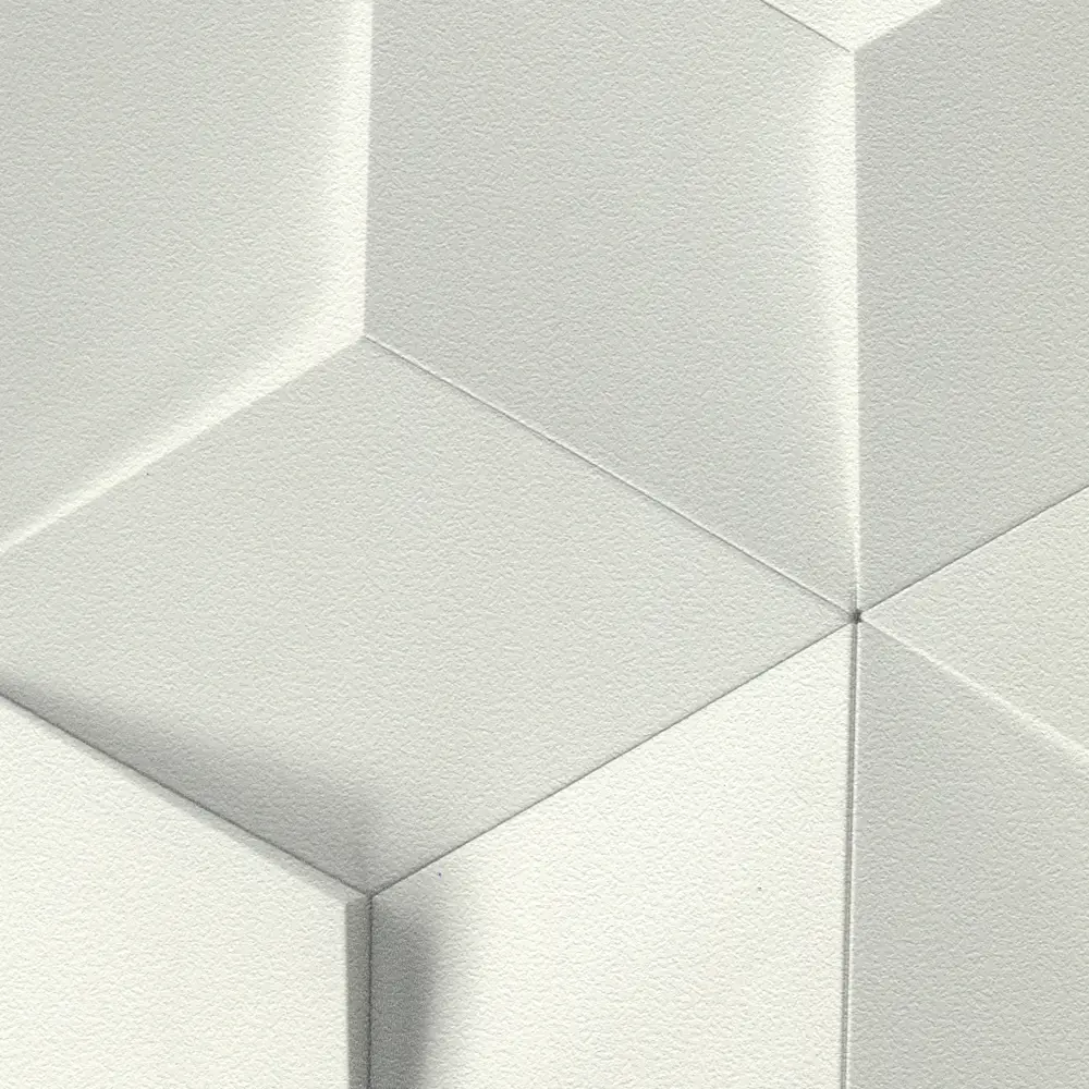 Обои флизелиновые Rasch Modern Art серые 0.53 м 622331 STLM-2030447 - Вид №1