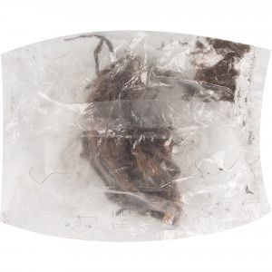 83760970 Георгина Берлинер Клине луковица II