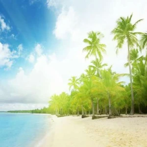 WP01185 Фотообои Verol Фотообои decoline 1х1 м