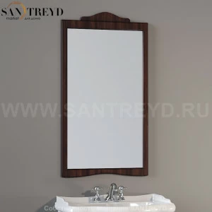 731340 Зеркало с рамой 63x116. Retro