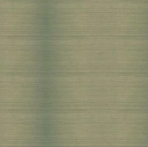 Террасная доска TerraPol Полнотелая 220 Фисташка (Рельефная) 3000х130 мм.