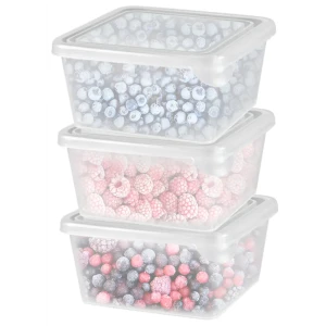 Емкость для заморозки Plast Team 0.45 л пластик цвет прозрачный 3 шт