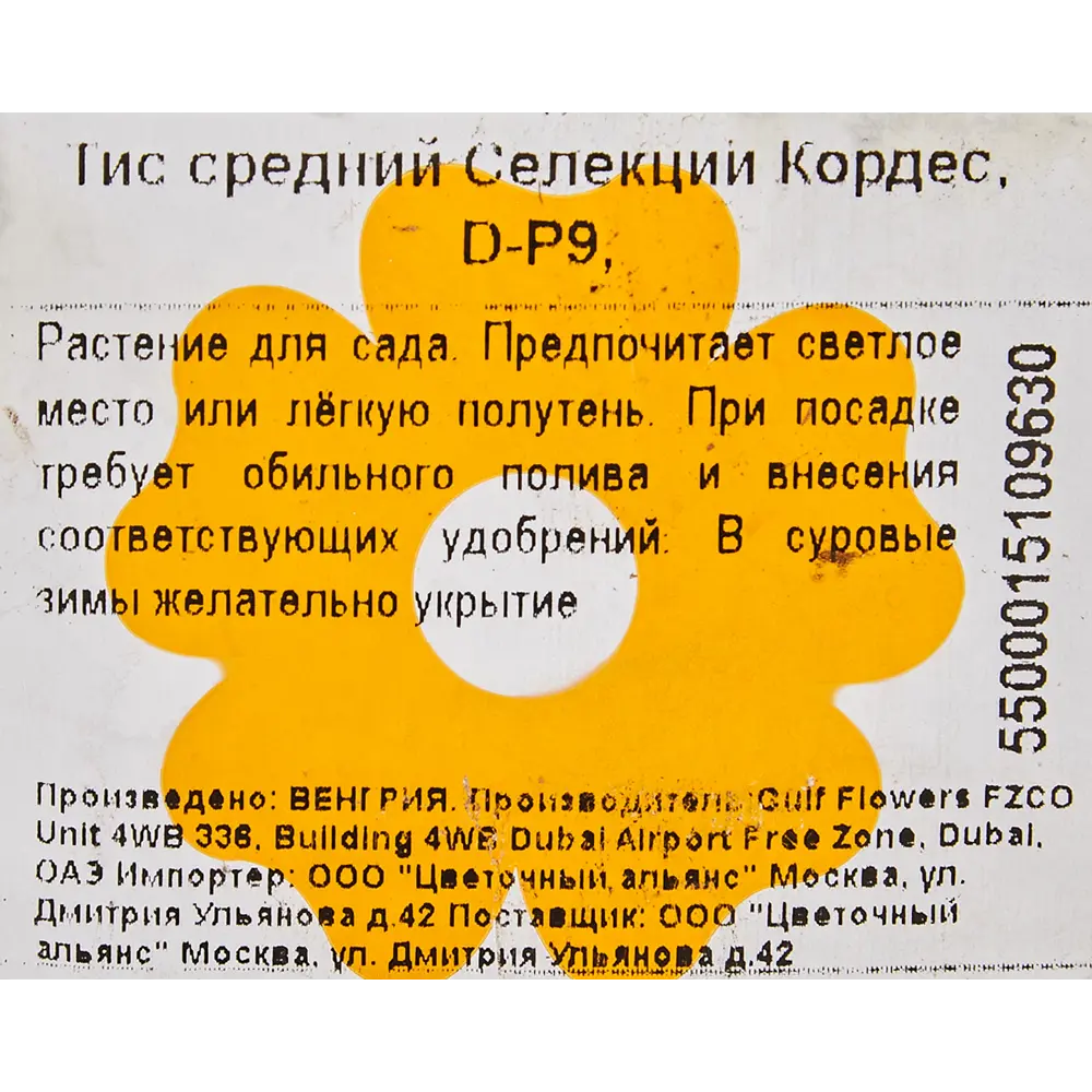 Тисс средний «Селекции Кордес» 9x20 см 82601621 STLM-2113331 Santreyd  - Вид №2
