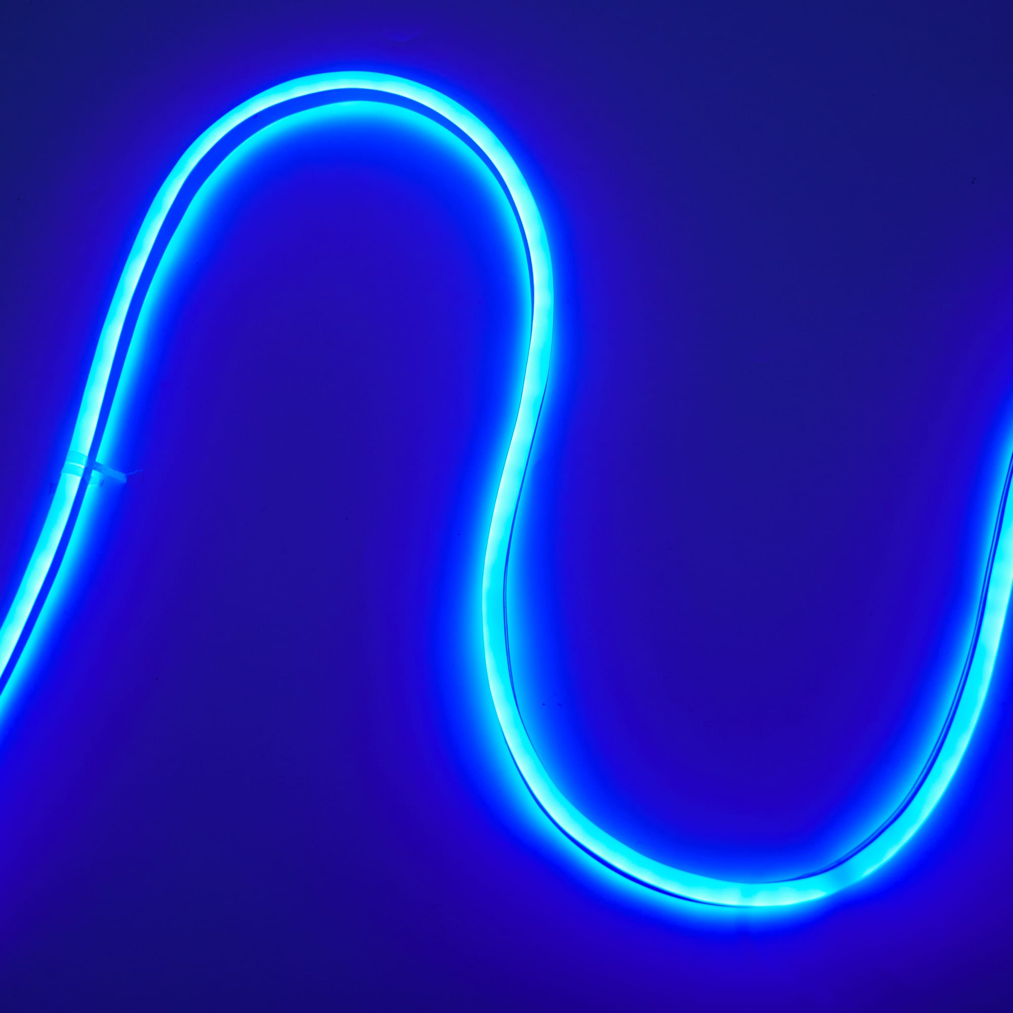 82410379 Электрогирлянда комнатная «Дюралайт» 8 м 8 LED, синий Santreyd 