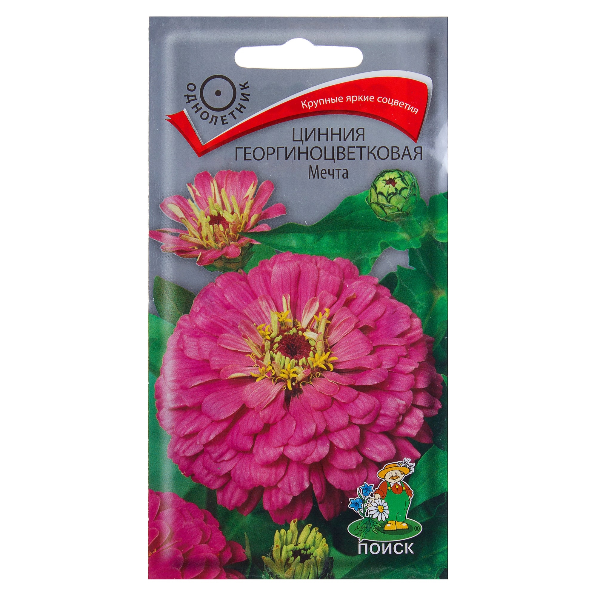 18359564 Цинния георгиноцветковая «Мечта» Santreyd 