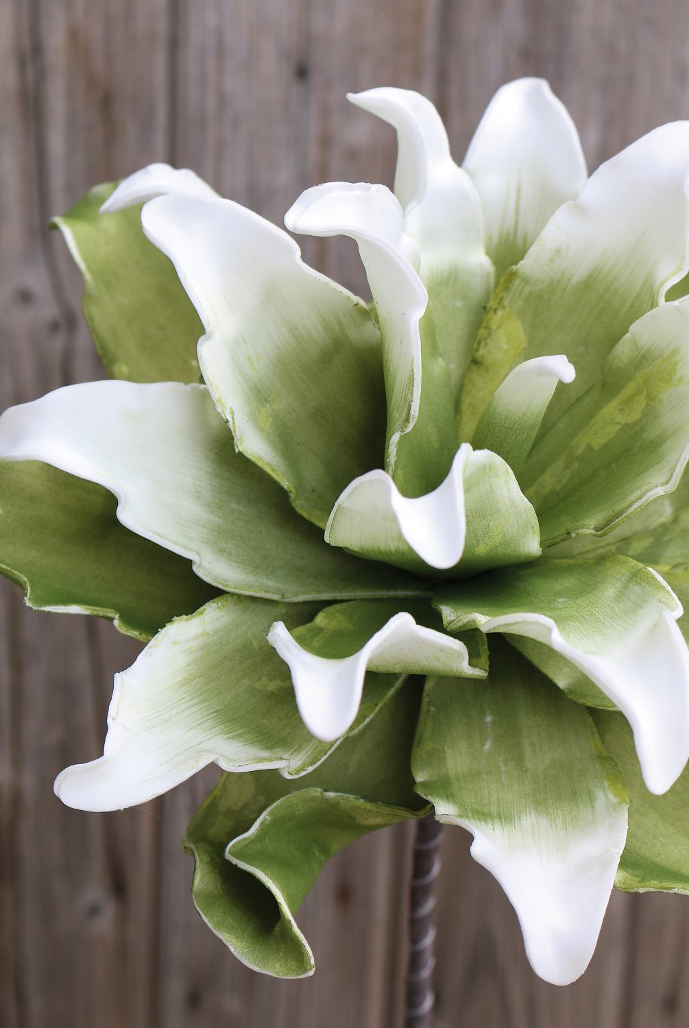 7898 807 a3 Искусственный протея мягкий цветок, 38 см, зелено-белый H-andreas  - Вид №1