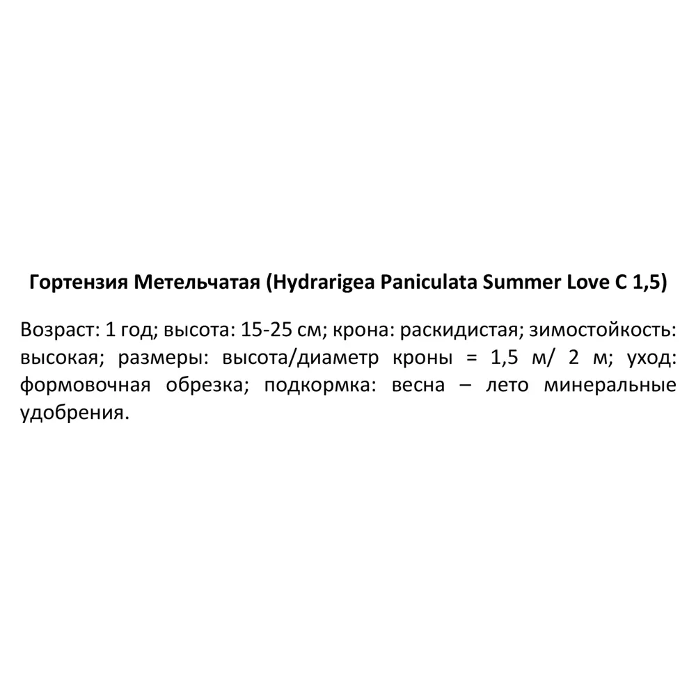 Гортензия метельчатая Саммер Лав ø15 h35 см 84832002 STLM-2132792 PLANTMARKET  - Вид №2