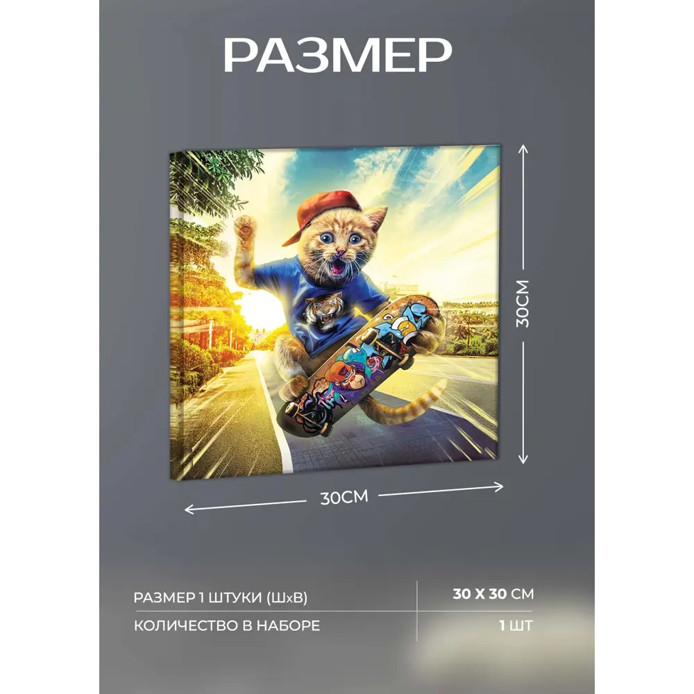 Картина на холсте Кот на скейте 30x30 см FBRUSH STLM-2170859 - Вид №3
