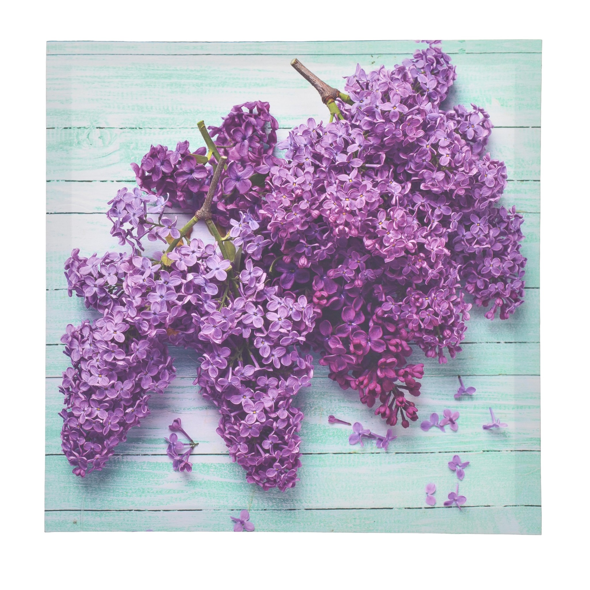 3890773.0123 принт на подрамнике TO4ROOMS  - Вид №1