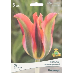 Тюльпан зеленоцветный Голливуд, 3 шт